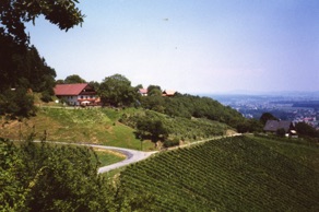 Vignobles DE STYRIE